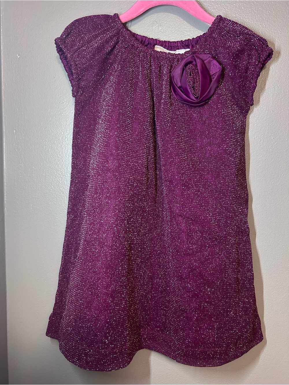 Savannah Sparkle Plum Dress with Flower Accent